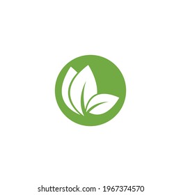 Eco icon green leaf vector illustration