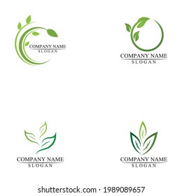 Eco icon green leaf vector illustration