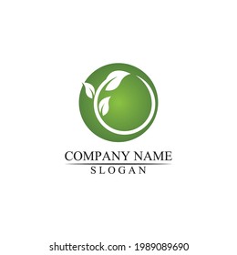 Eco icon green leaf vector illustration