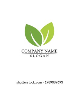 Eco icon green leaf vector illustration