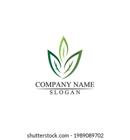 Eco icon green leaf vector illustration