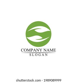 Eco icon green leaf vector illustration