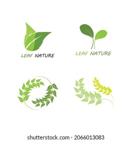 Eco icon green leaf vector illustration isolated. - Vector