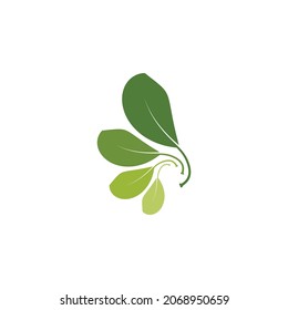 Eco icon green leaf vector illustration isolated. - Vector