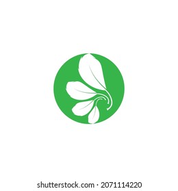 Eco icon green leaf vector illustration isolated. - Vector