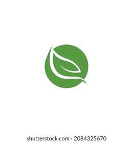 Eco icon green leaf vector illustration isolated.
