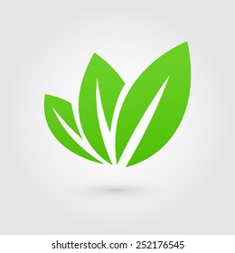 Eco icon green leaf vector illustration isolated