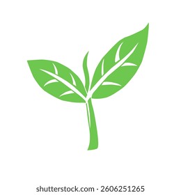 Eco icon green leaf vector isolated on white