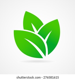 Eco icon green leaf vector illustration isolated
