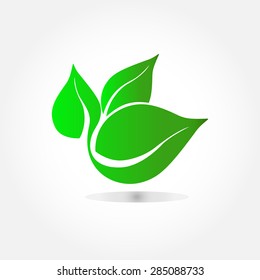 Eco icon green leaf. Vector illustration.
