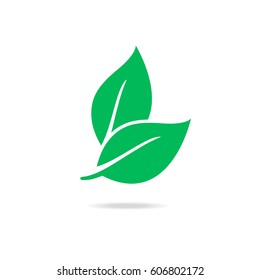 Eco Icon Green Leaf Vector Illustration Isolated.