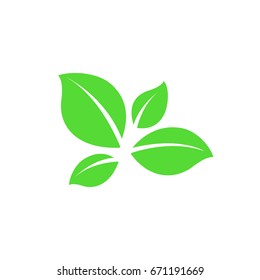 Eco icon green leaf vector illustration isolated