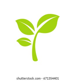 Eco icon green leaf vector illustration isolated
