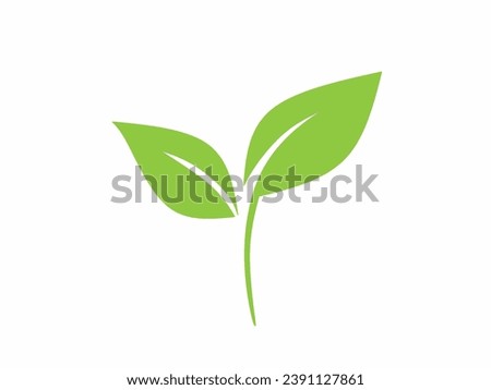Eco icon green leaf vector illustration isolated on white