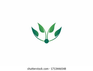 Eco icon green leaves vector illustration design