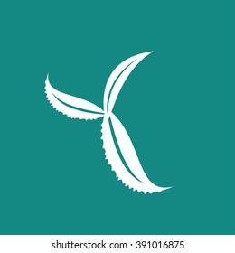 Eco icon leaf vector illustration isolated