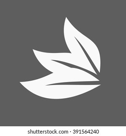 Eco icon leaf vector illustration isolated