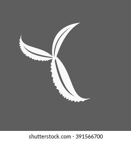 Eco icon leaf vector illustration isolated