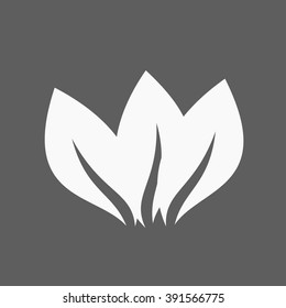 Eco icon leaf vector illustration isolated