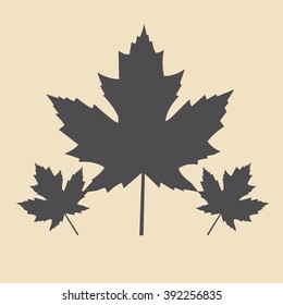 Eco icon leaf vector illustration isolated