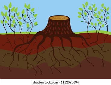 Eco illustration. Stump with roots. Shoots of trees. Young and old plants