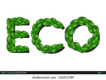 Eco the inscription of the leaves. Leaves design elements. Eco style. Green sprout green leaves symbol. Leafs background for your project. Ecological theme. Greenery. Vector Illustration.