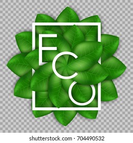 Eco the inscription of the leaves isolated on transparent background. Leaves design elements. Eco style. Green sprout green leaves symbol. Ecological theme. Greenery. Vector Illustration.