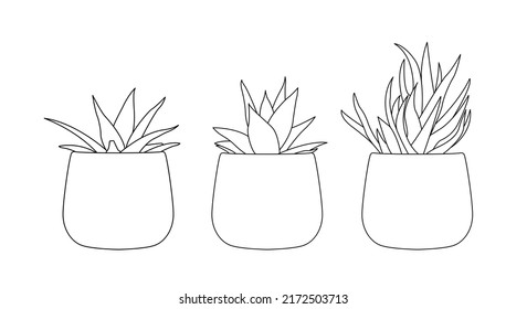 Decoración ecológica con suculentos de estilo lineal sencillo. Ilustración del vector de trazo editable