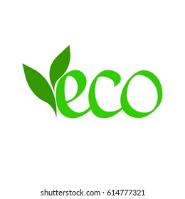 eco, isolated calligraphy lettering with green leaves, logo design template, vector illustration