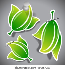 Eco Labels