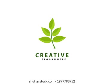 Eco leaf green logo design, leaf logo icon template. vector