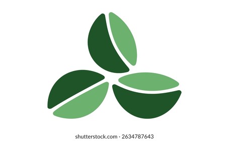 Eco Leaf Icon Isolated on White Background
