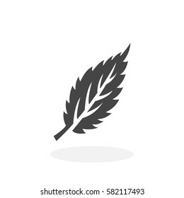 Eco leaf icon isolated on white background. Eco leaf vector logo. Flat design style. Modern vector pictogram for web graphics - stock vector