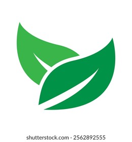 eco leaf icon logo vector illustration design