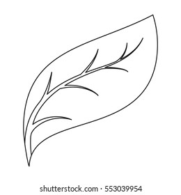Eco leaf icon in outline style isolated on white background. Bio and ecology symbol stock vector illustration.