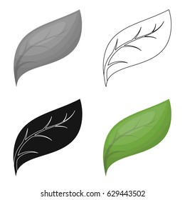 Eco leaf icon in outline style isolated on white background. Bio and ecology symbol stock vector illustration.