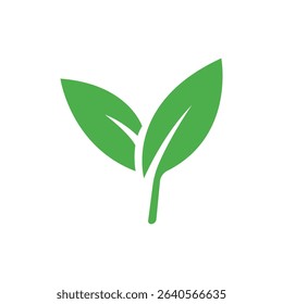 Eco leaf. Iconic illustration. White background.