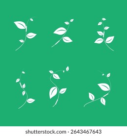Eco leaf logo. Simple linear leaves of trees and plants. Elements for eco-friendly and biological logo, vegan. A collection of leaves