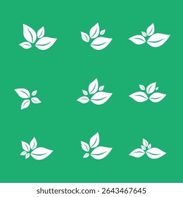 Eco leaf logo. Simple linear leaves of trees and plants. Elements for eco-friendly and biological logo, vegan. A collection of leaves
