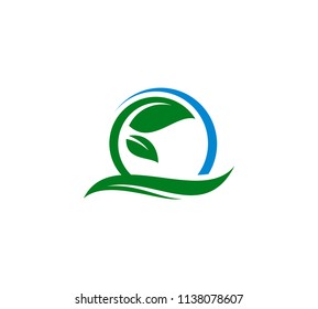 eco leaf logo template vector illustration