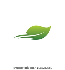 eco leaf nature vector logo