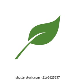 Eco leaf on a white background. Vector illustration