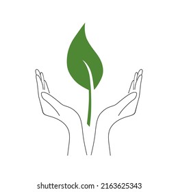 Eco leaf on a white background. Vector illustration
