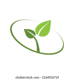 Eco leaf on a white background. Vector illustration