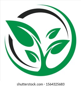 Eco Leaf Tree Logo Designs Template
