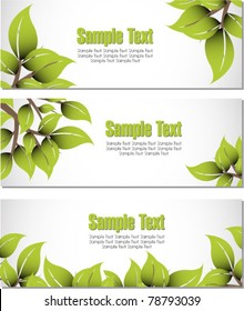 eco leaves banner/headers