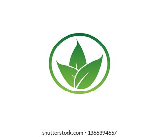 eco leaves logo icon design template elements - Vector