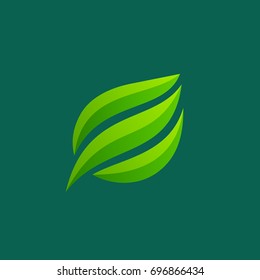 Eco leaves logo icon design template elements