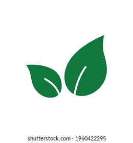 Eco leaves, logo, icon, template and design elements on white isolated background in green color. Vector illustration.