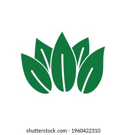 Eco leaves, logo, icon, template and design elements on white isolated background in green color. Vector illustration.